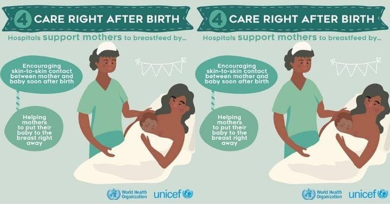 Dok. Nutrition and Food Safety